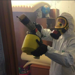 Уничтожение клопов в квартире. Агалатово
